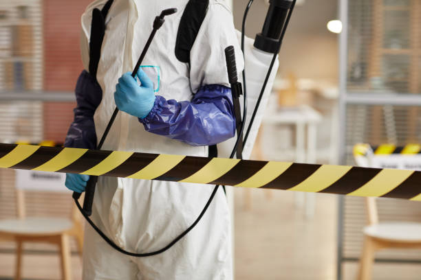 Professional Infectious Disease Decontamination technician working in Medford, NY